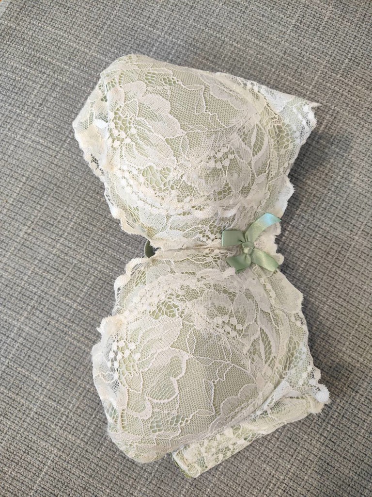 投稿写真