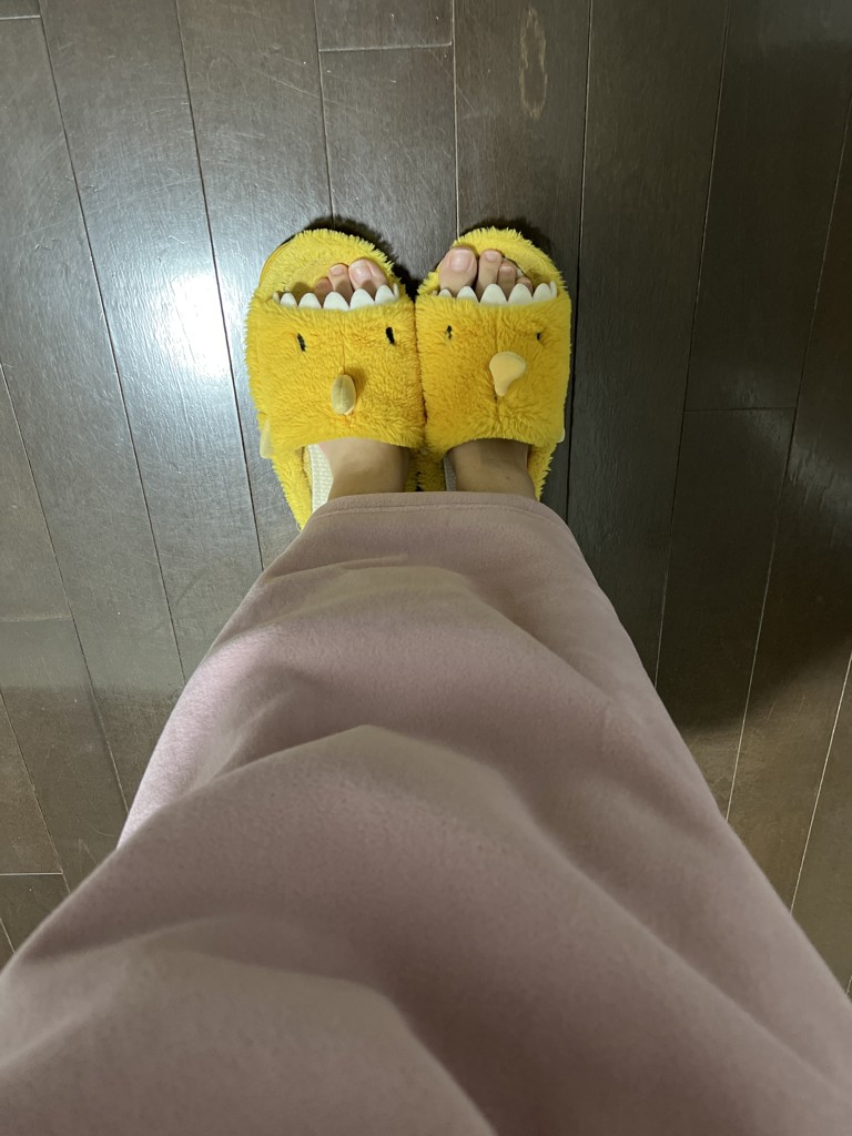 投稿写真