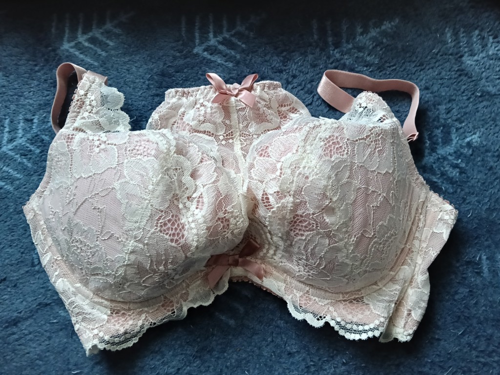 投稿写真