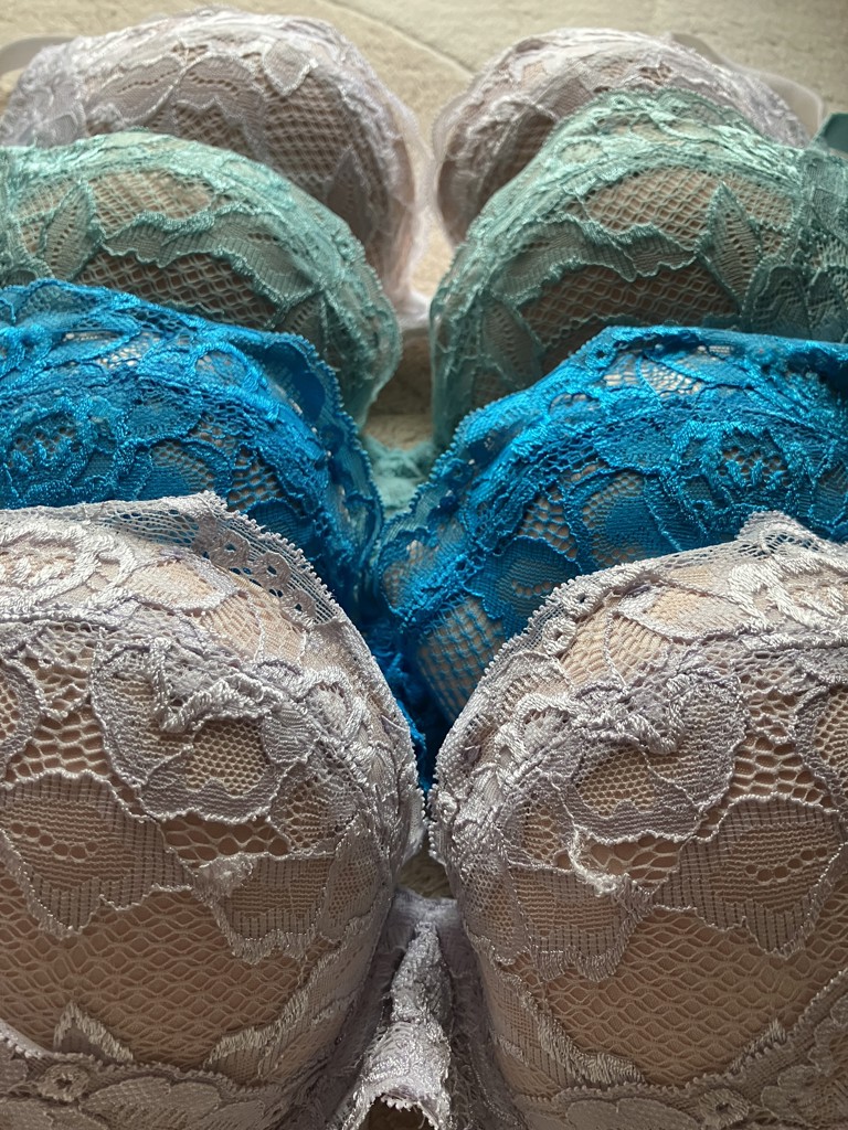 投稿写真