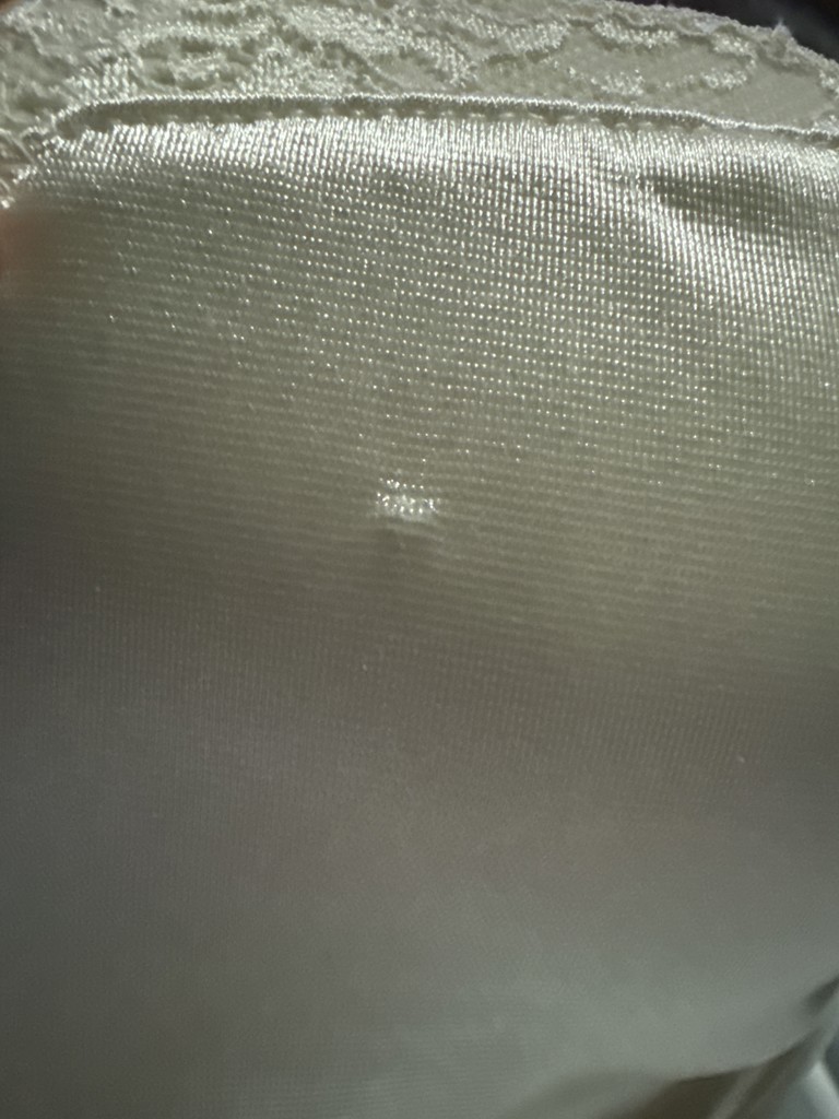 投稿写真