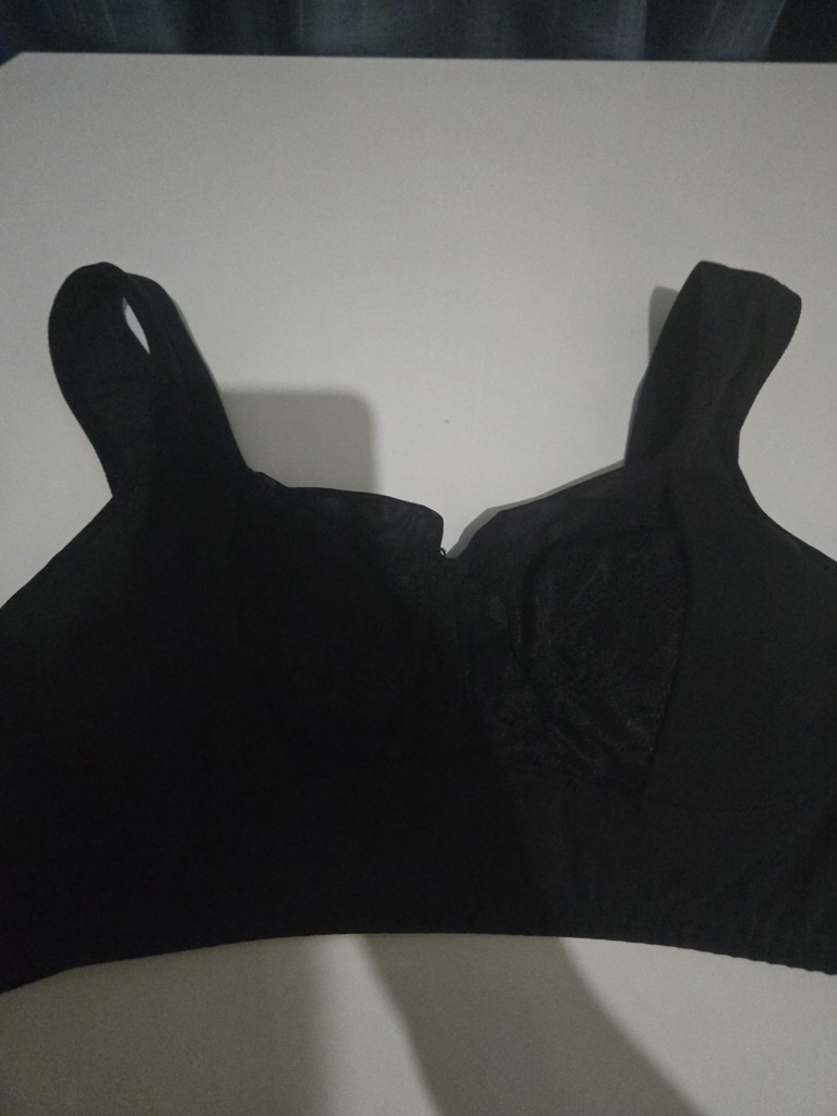 投稿写真