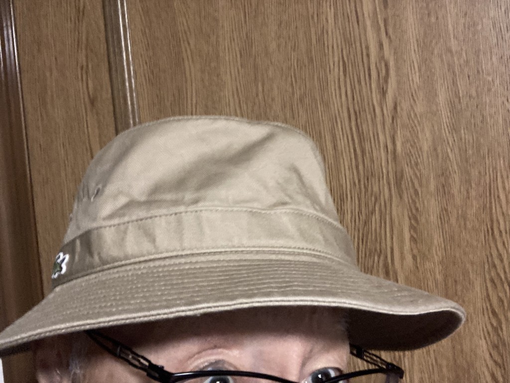 投稿写真