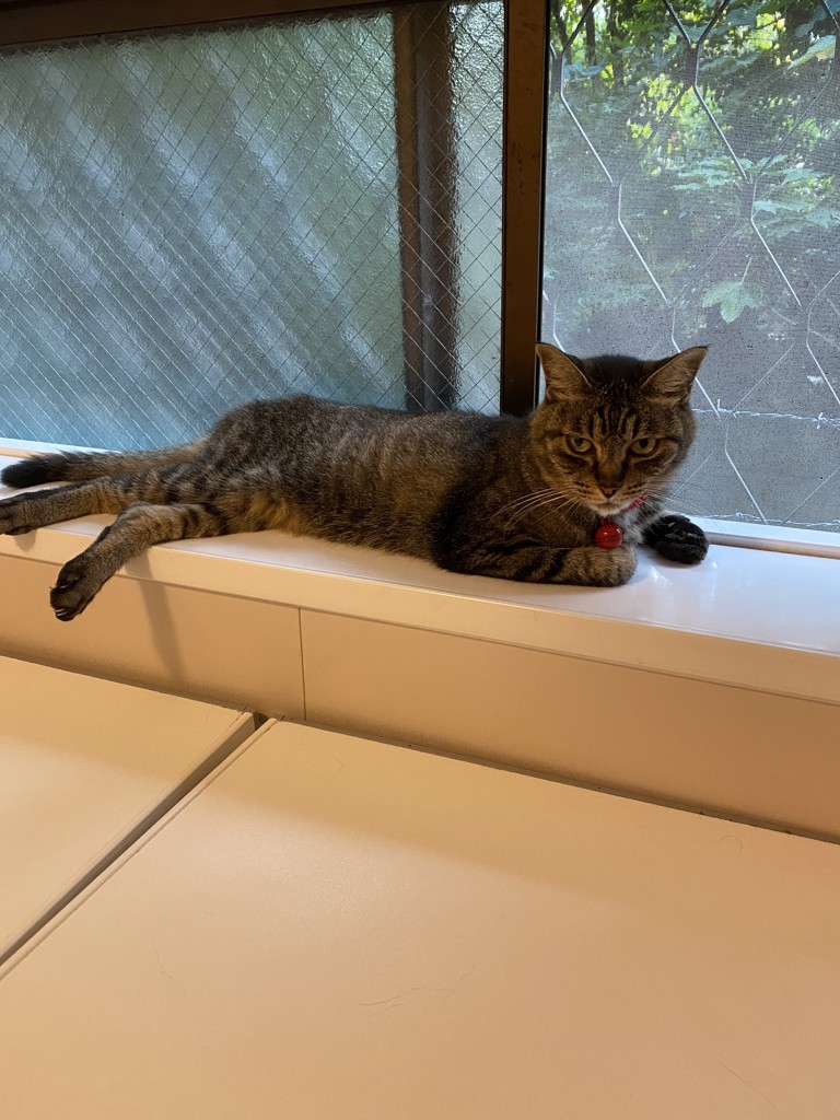 ユーザー写真
