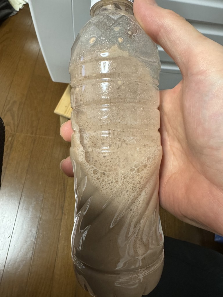 投稿写真