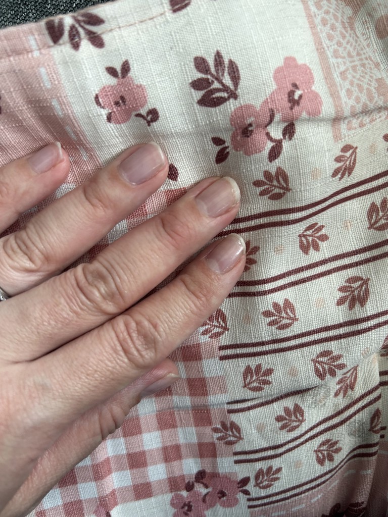 投稿写真