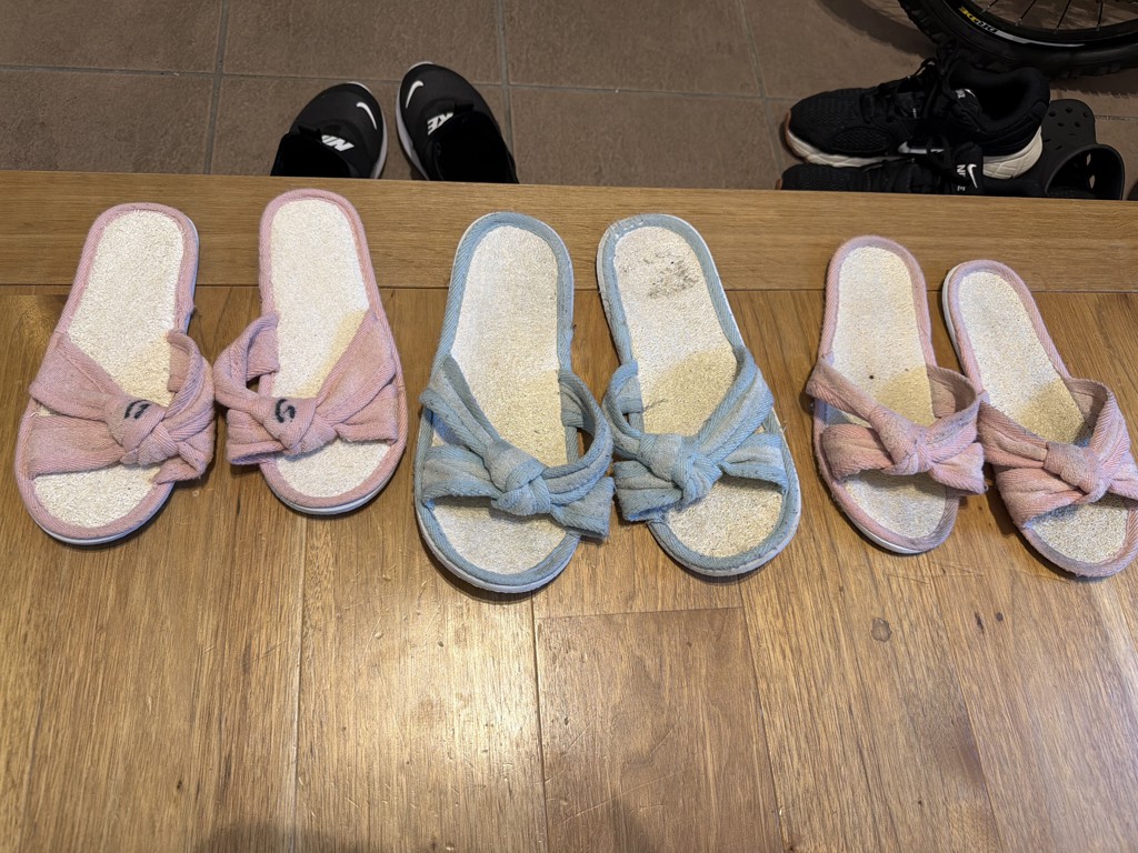 投稿写真