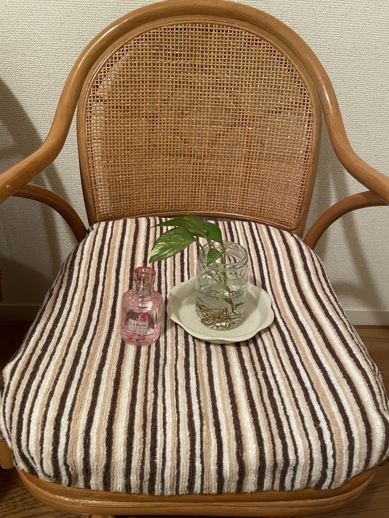 投稿写真
