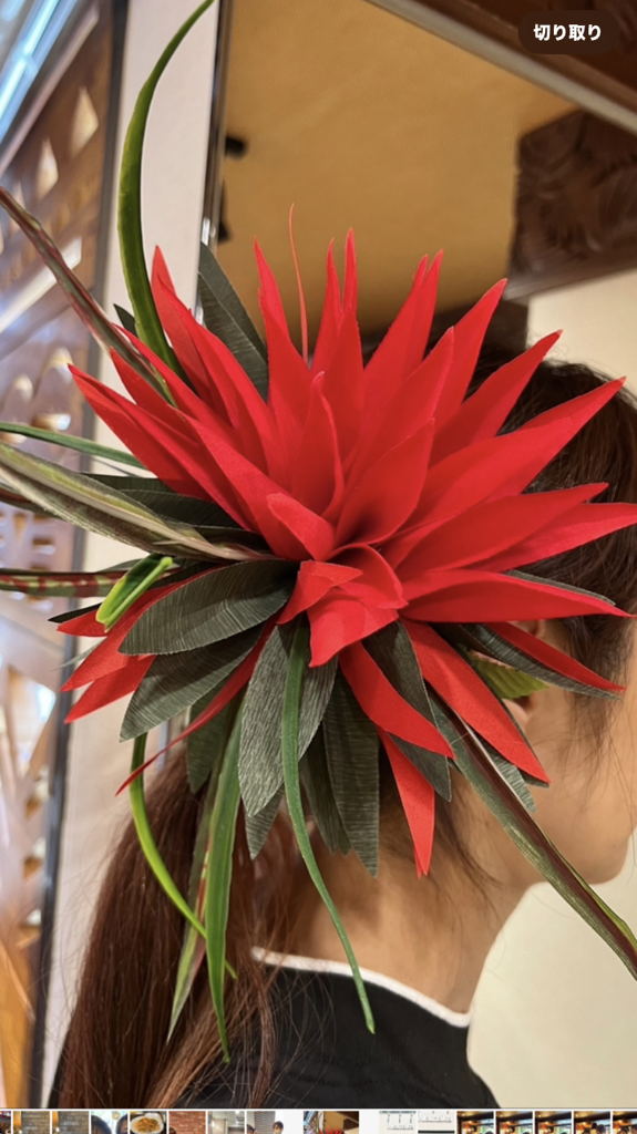 マウナロア【Maunaloa】|フラダンス衣装の専門店|リーフヌイクリップ