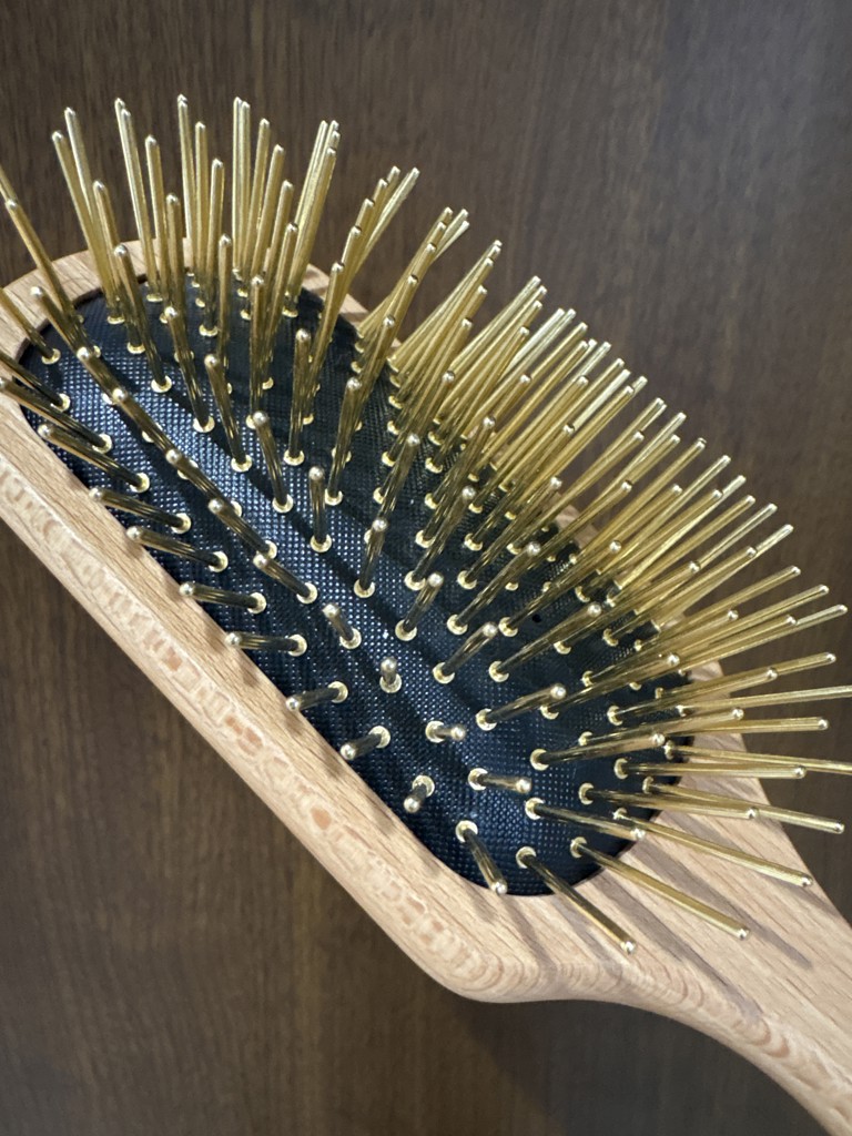 投稿写真