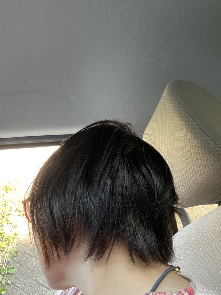 投稿写真
