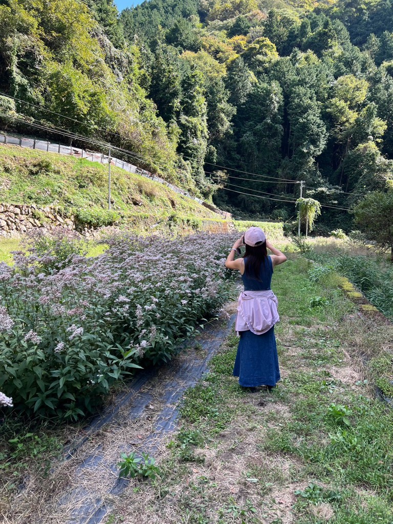 投稿写真