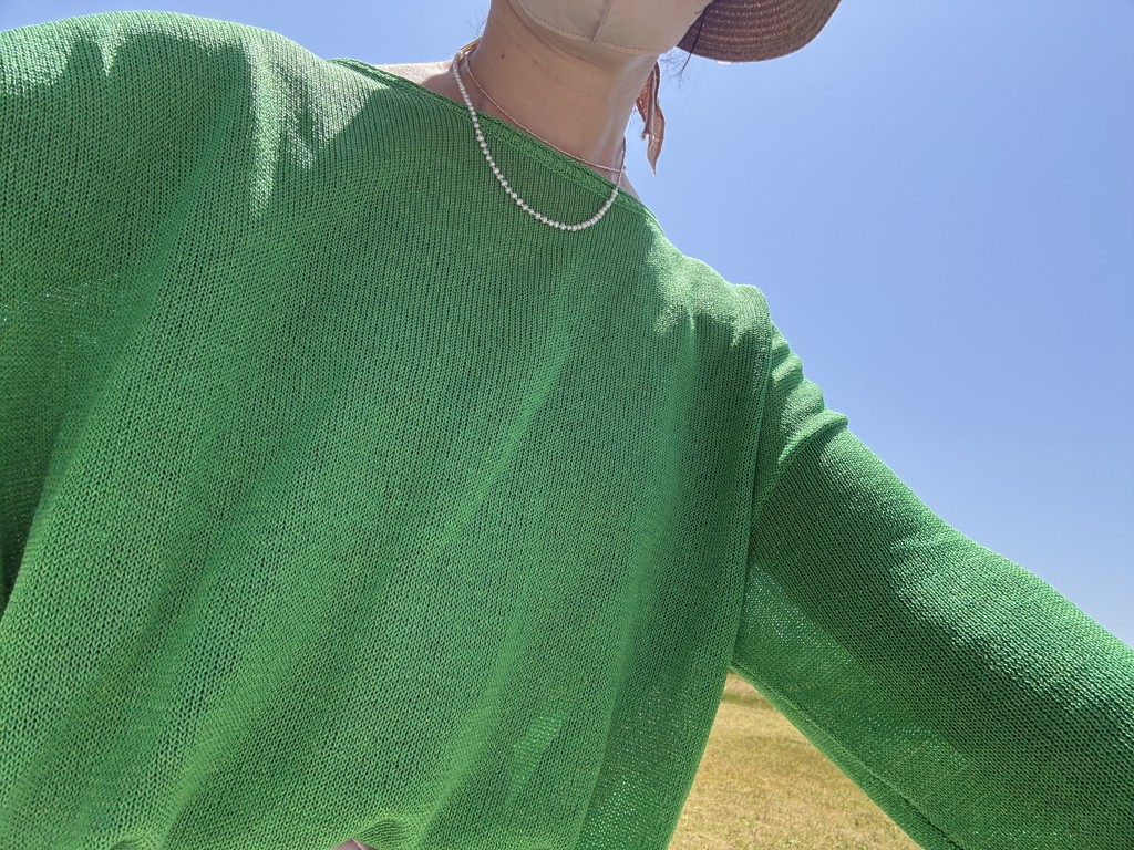 投稿写真