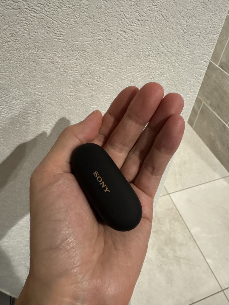 SONY ワイヤレス イヤホン WF-1000XM5 マイク付き Bluetooth 高音質