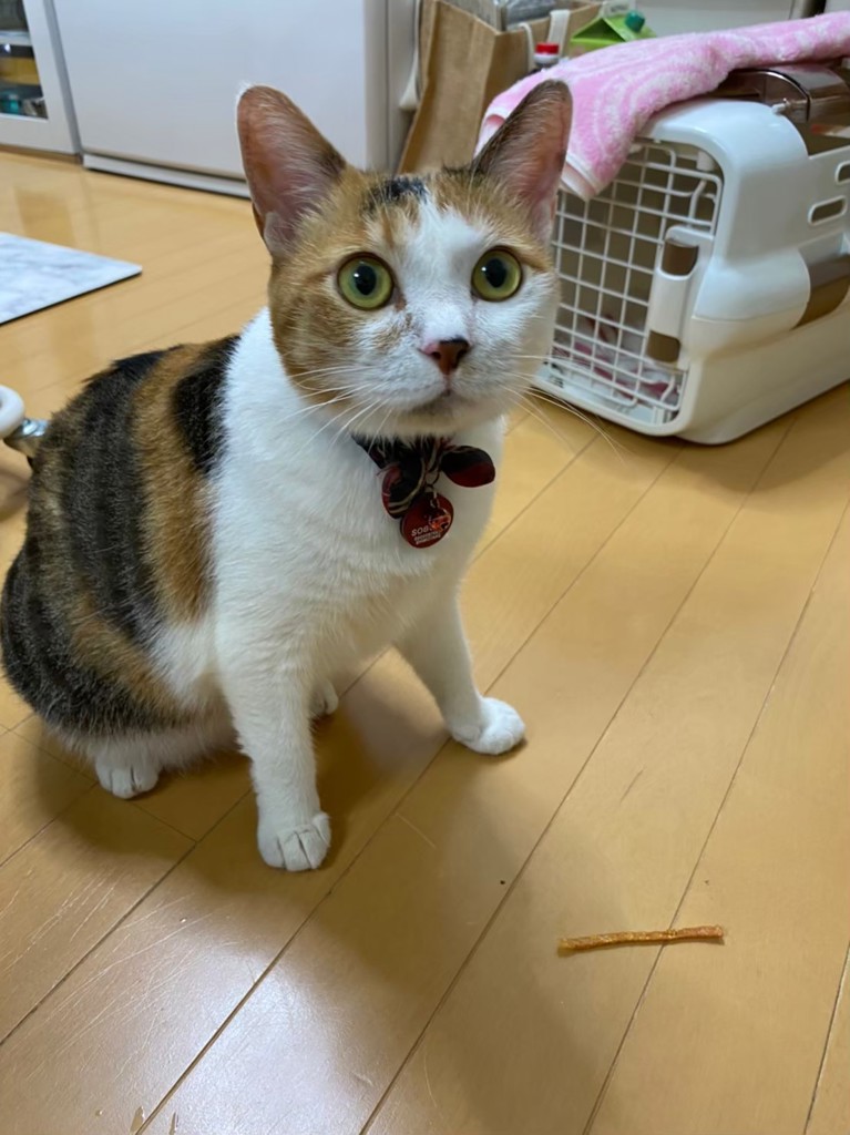 ユーザー写真
