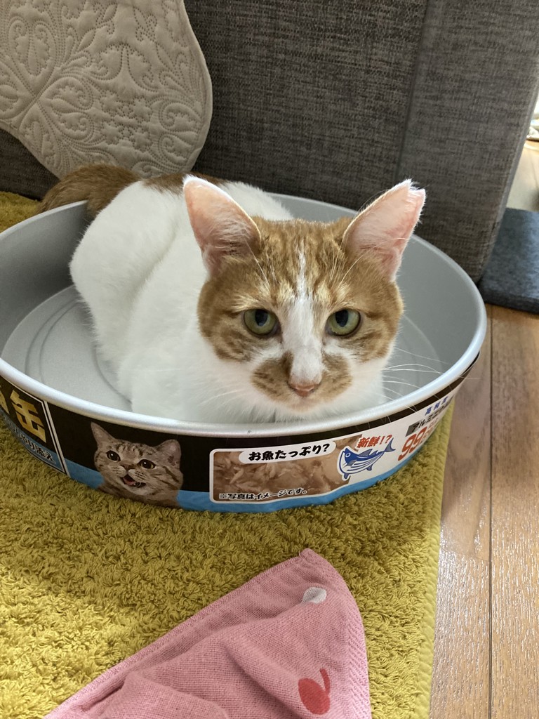 ユーザー写真