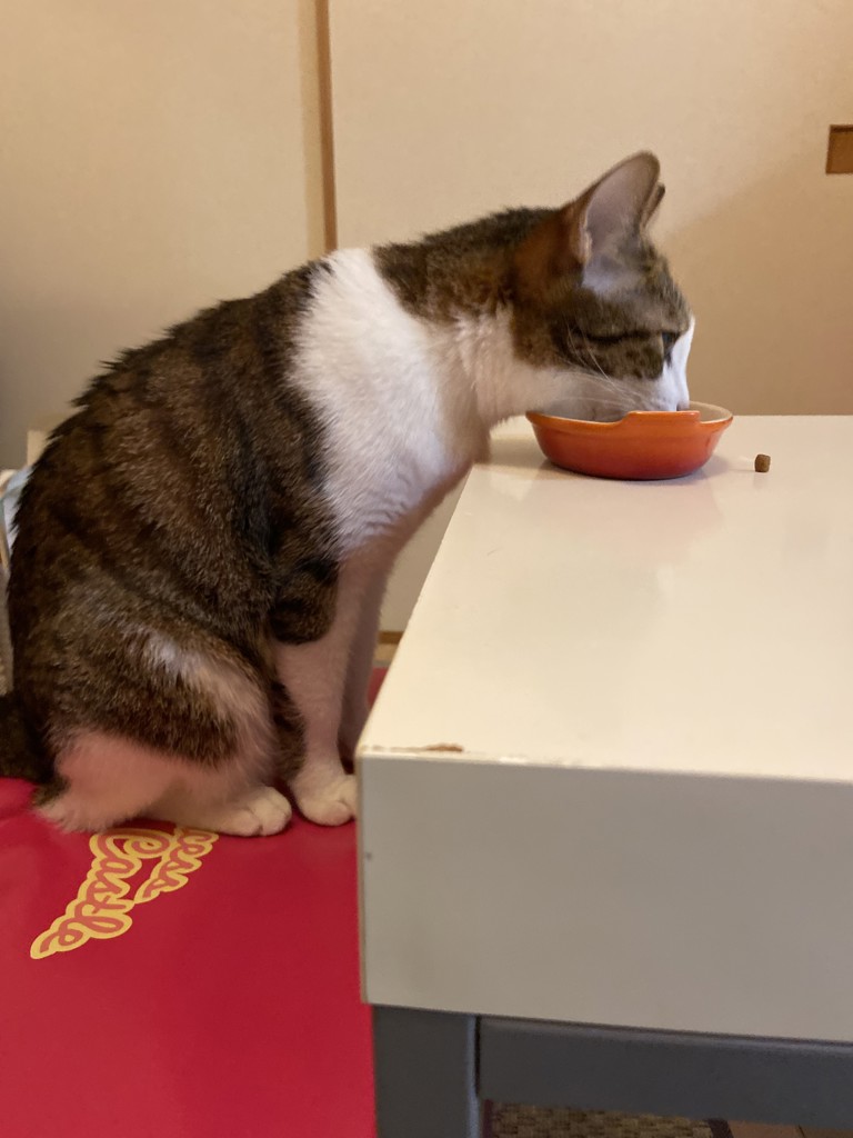 ユーザー写真