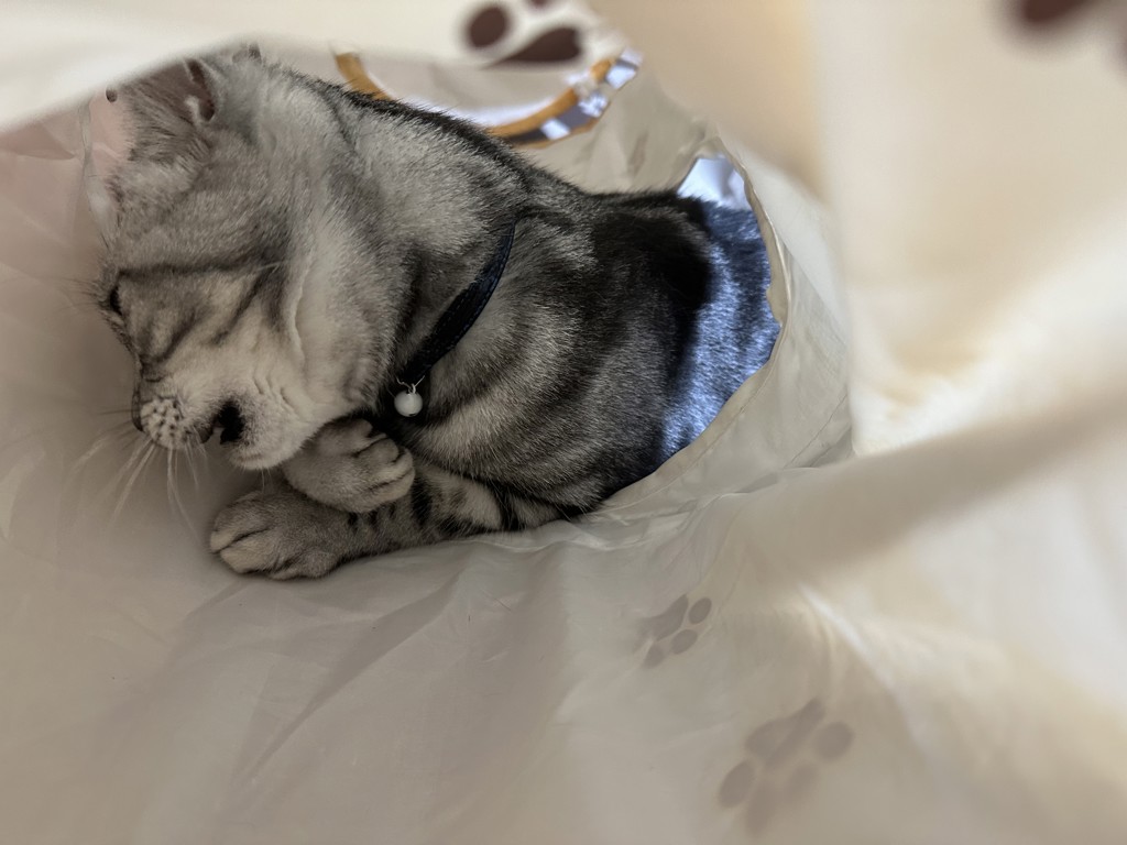 ユーザー写真