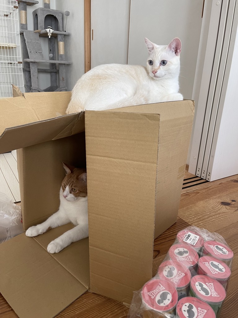 ユーザー写真