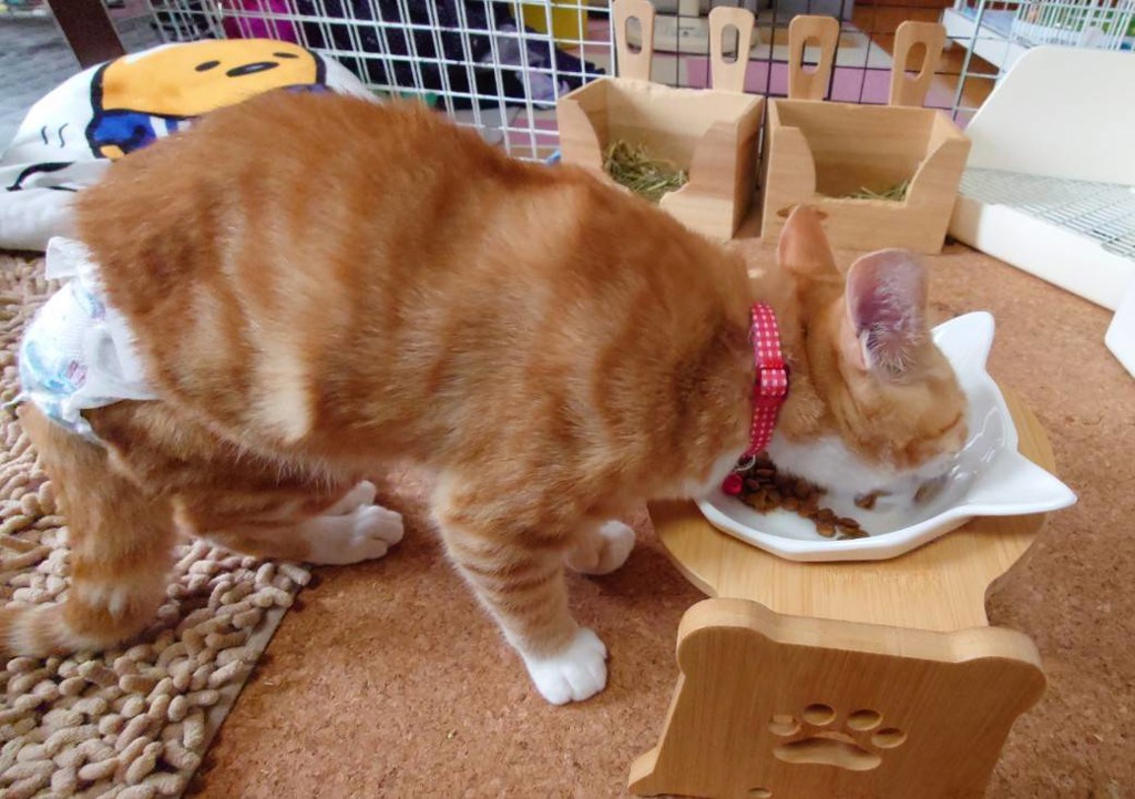 ユーザー写真