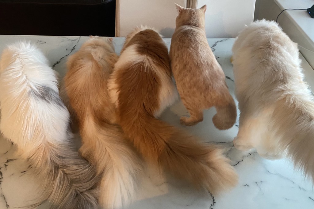 ユーザー写真