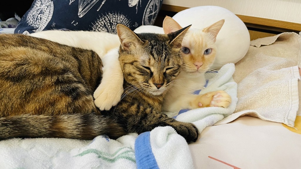 ユーザー写真