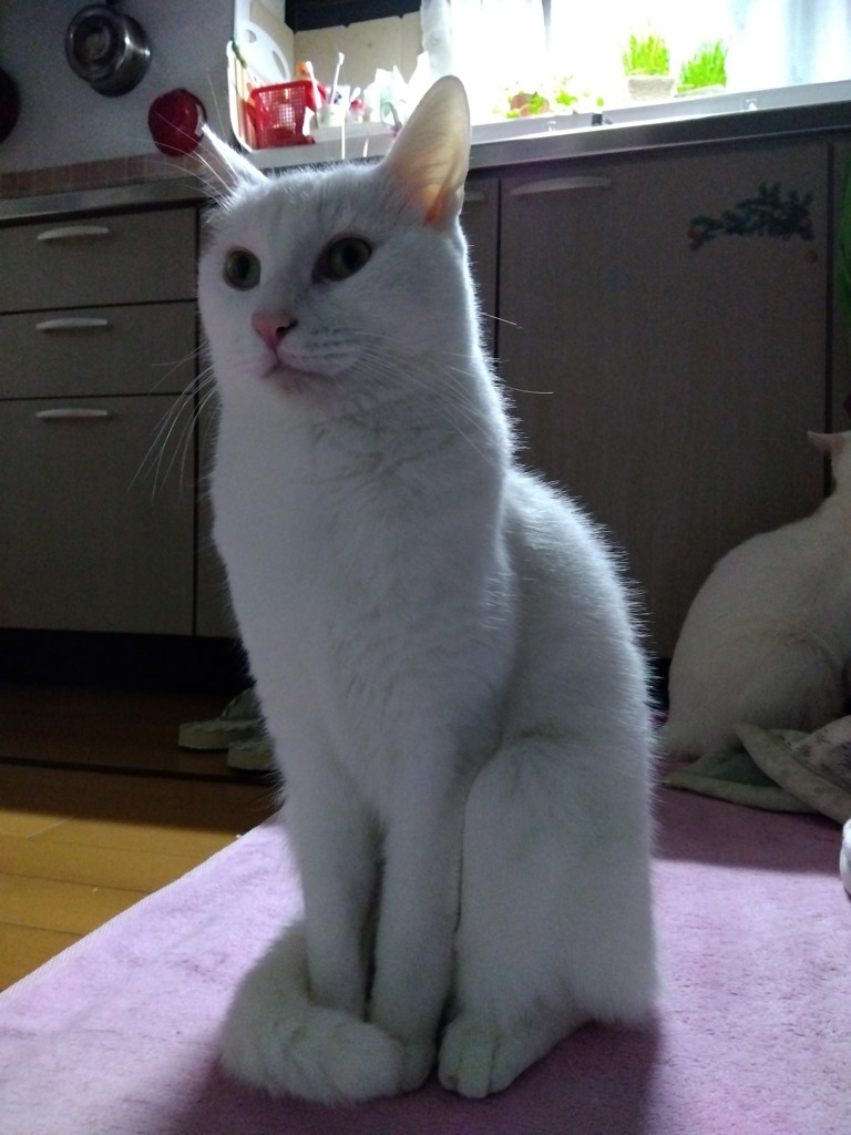 ユーザー写真