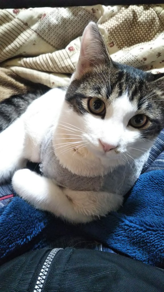 ユーザー写真