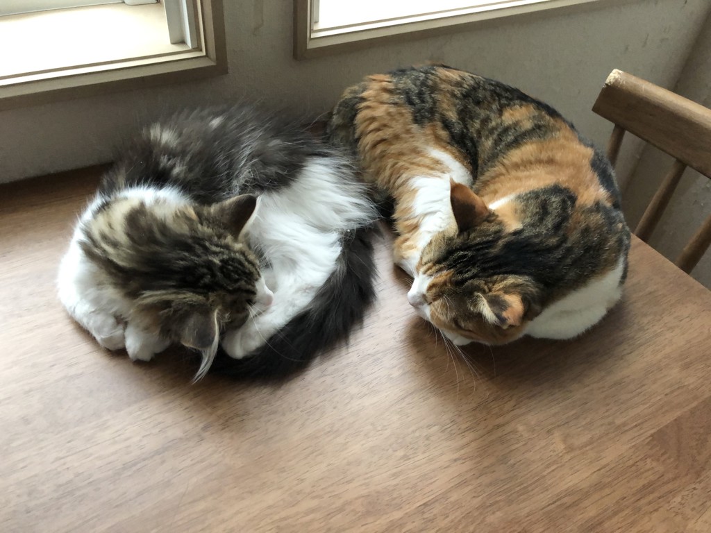 ユーザー写真