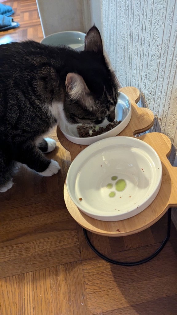 投稿写真