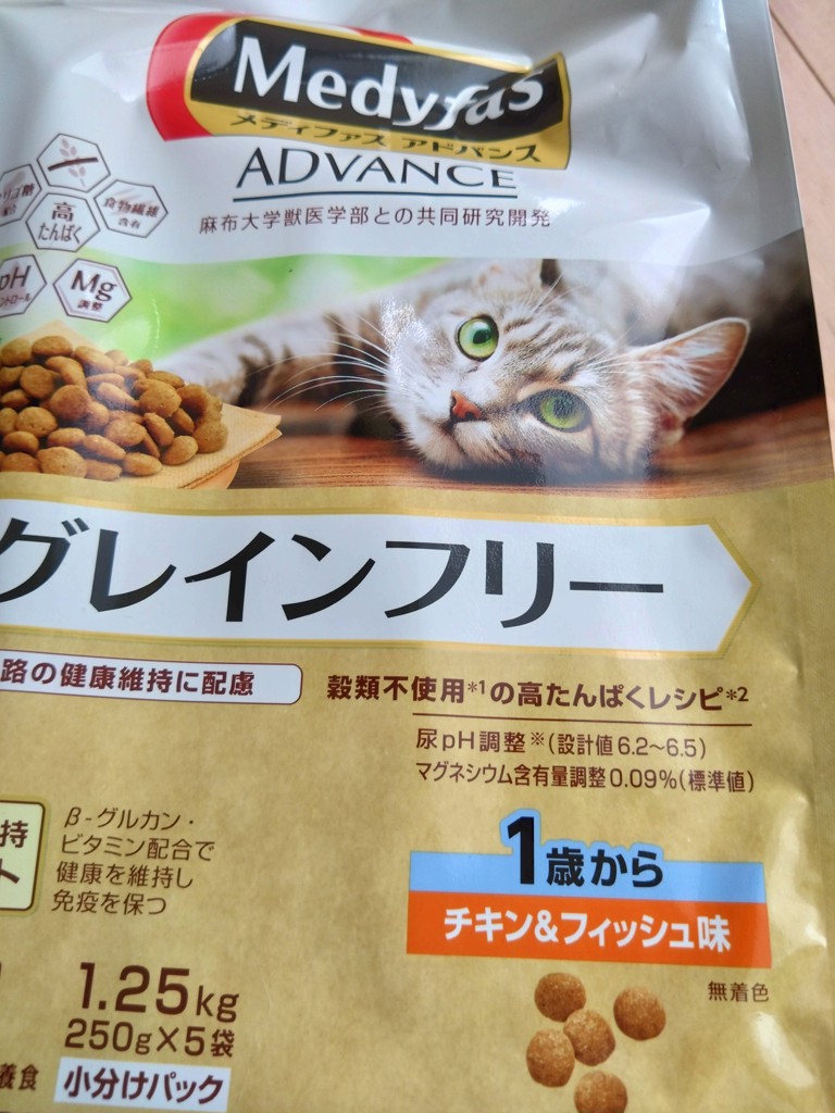 投稿写真