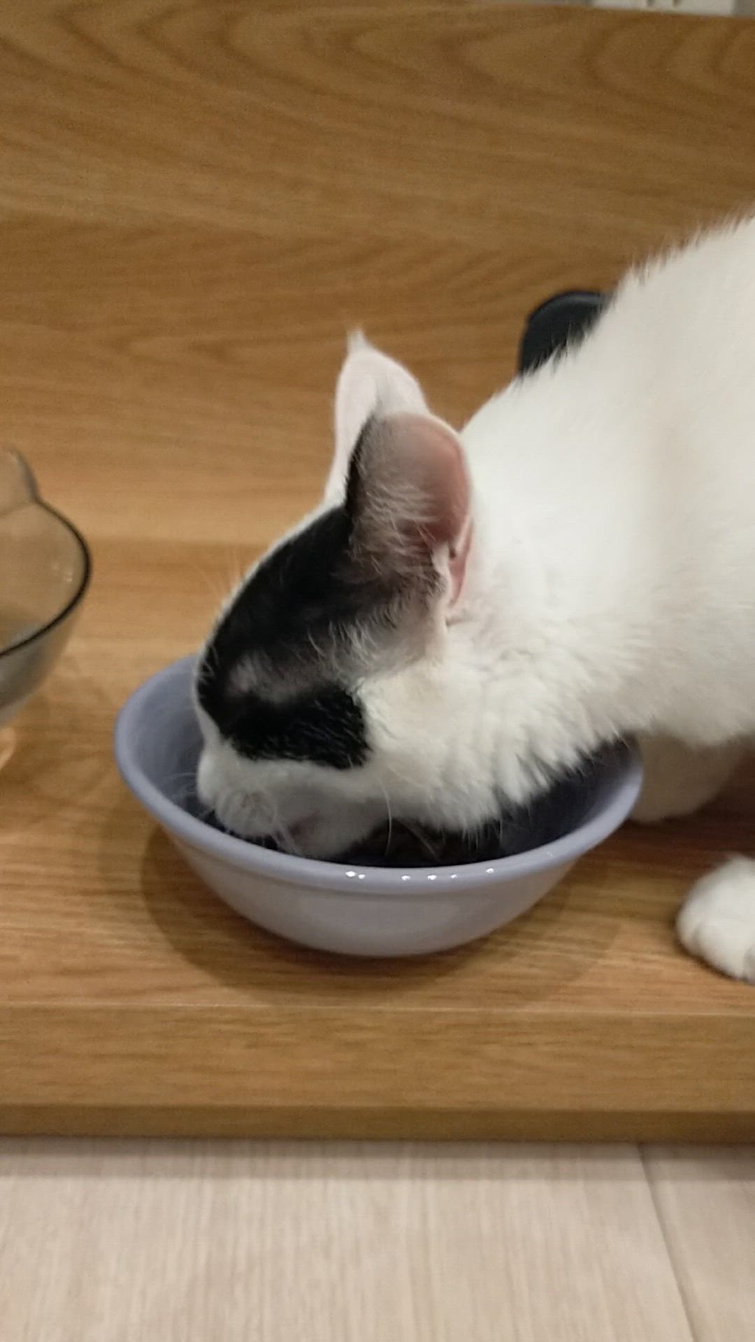投稿写真