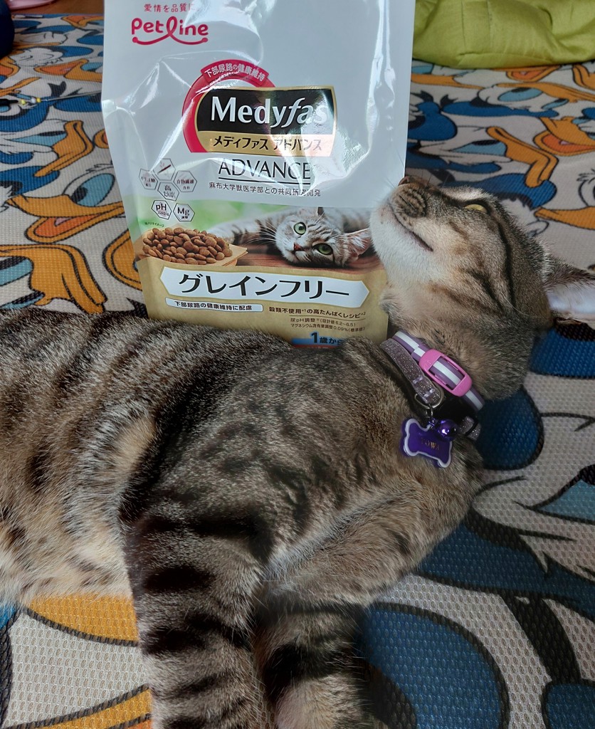 投稿写真