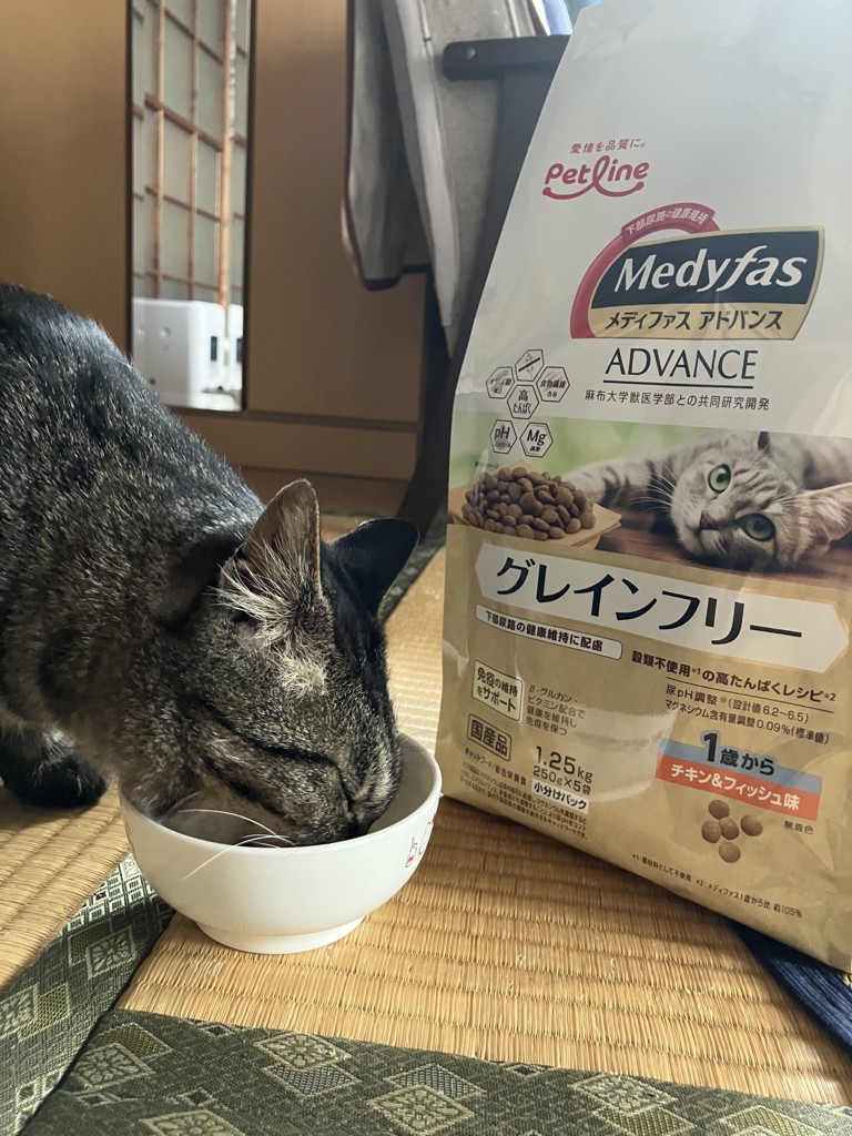 投稿写真