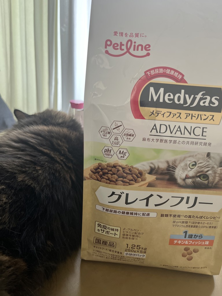 投稿写真