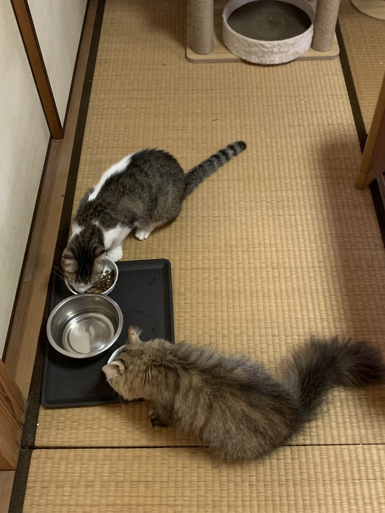 投稿写真