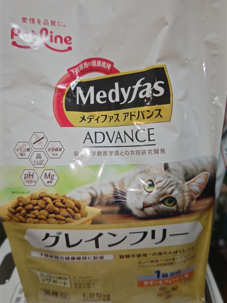 投稿写真