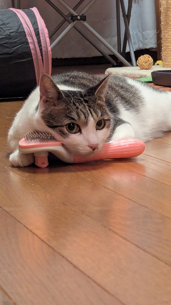 ユーザー写真