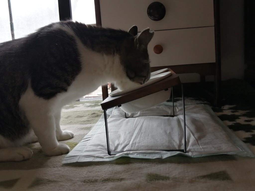 ユーザー写真