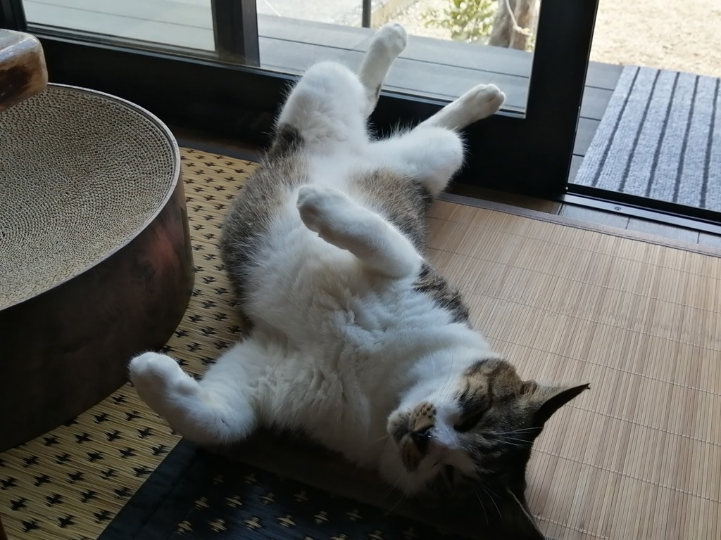 ユーザー写真