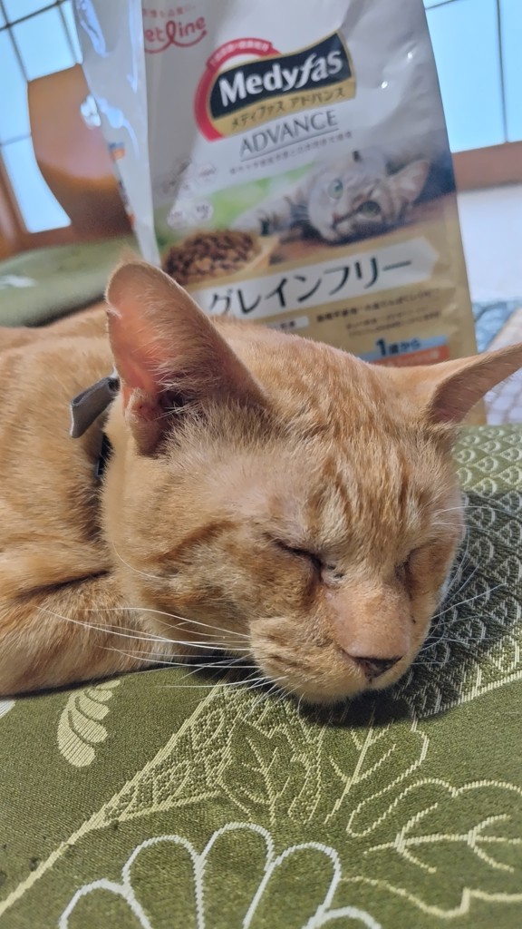 投稿写真