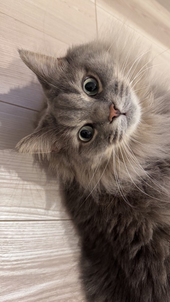 ユーザー写真