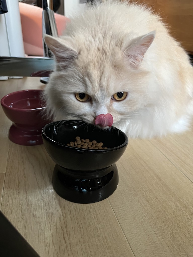 ユーザー写真