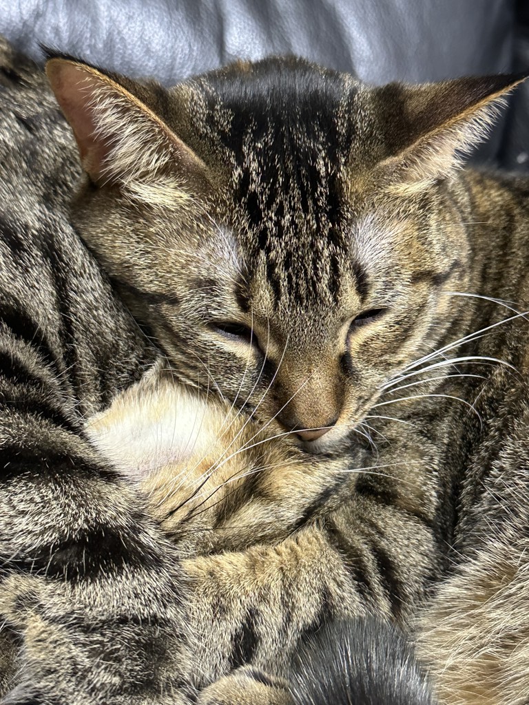 ユーザー写真