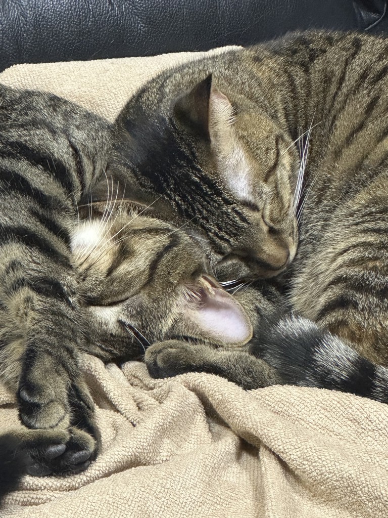 ユーザー写真