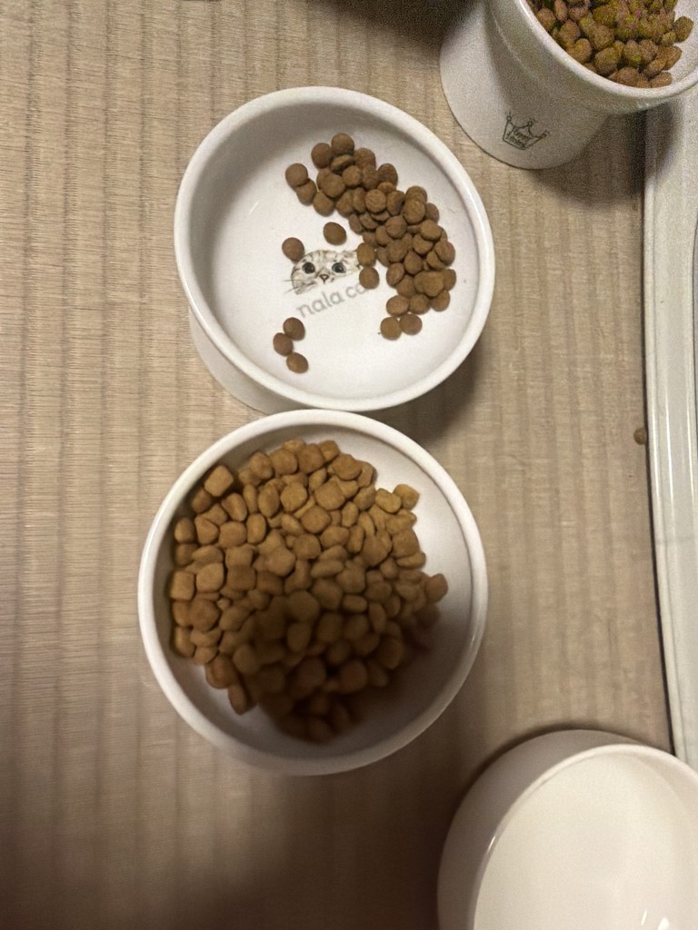 投稿写真