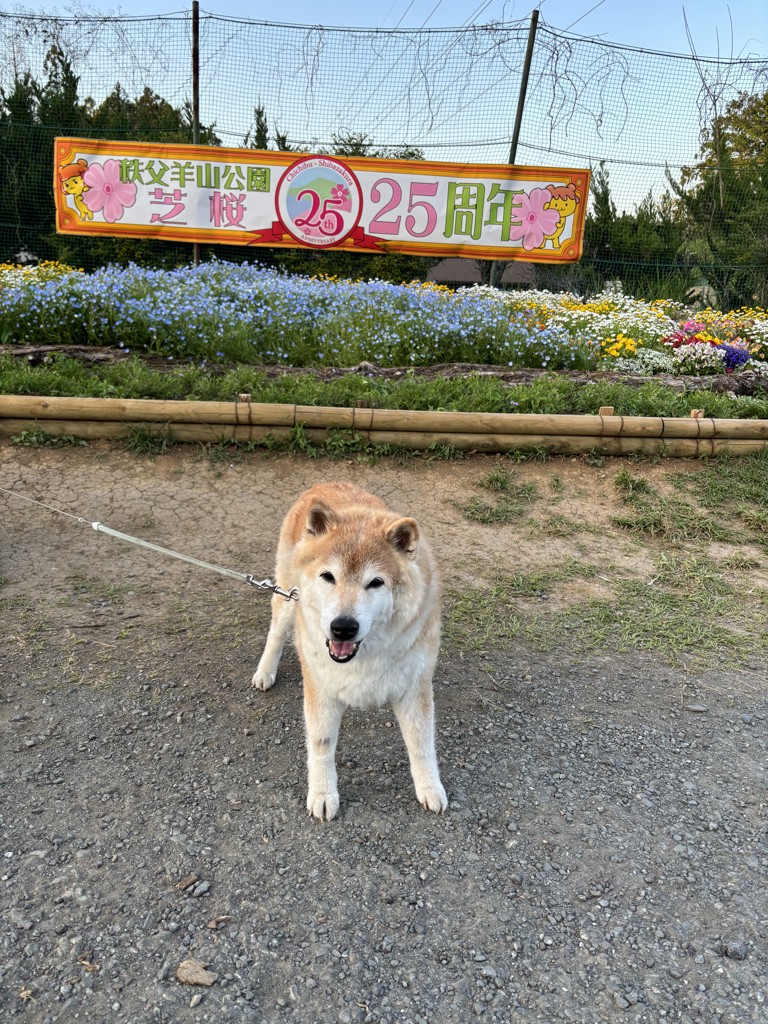 投稿写真