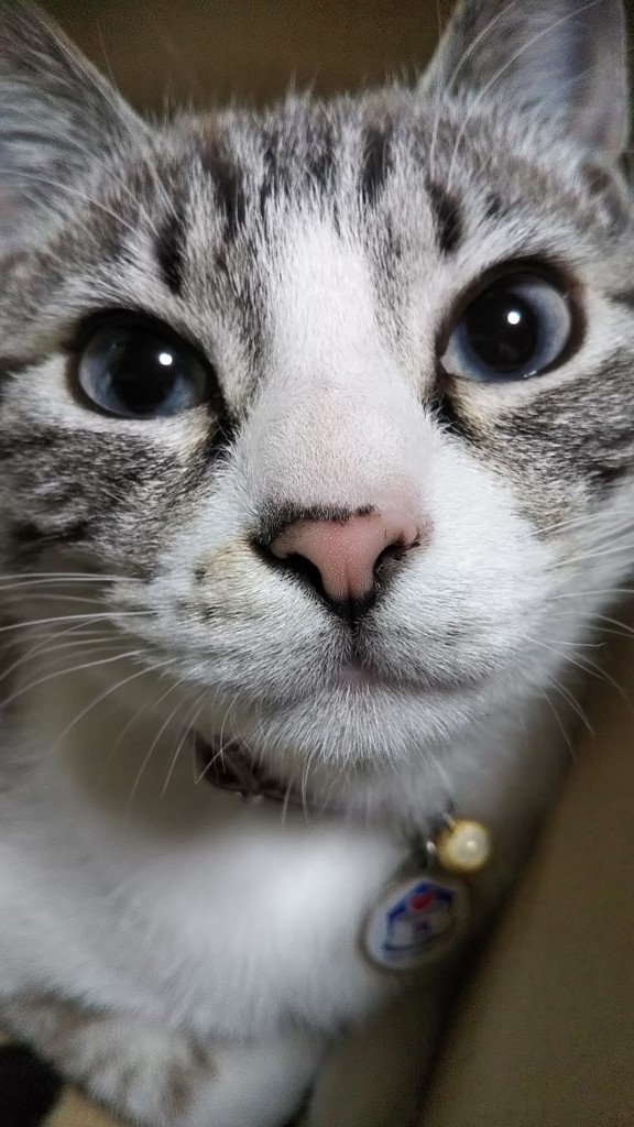 ユーザー写真