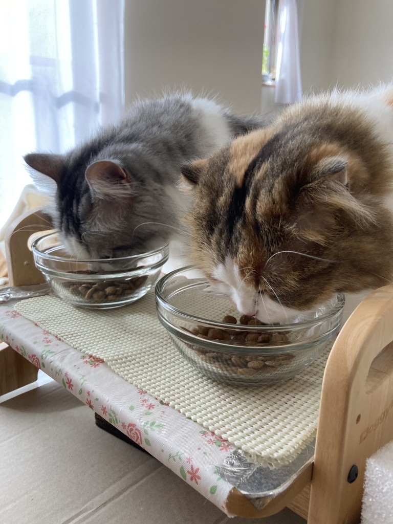 ユーザー写真