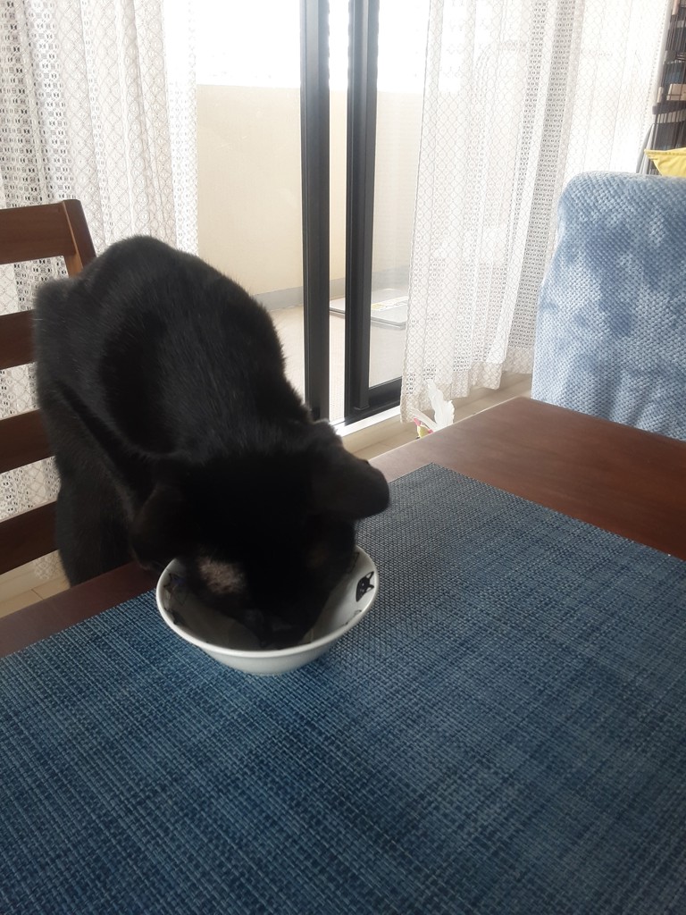 投稿写真